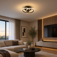 Aplica LED 28W Black Circle
