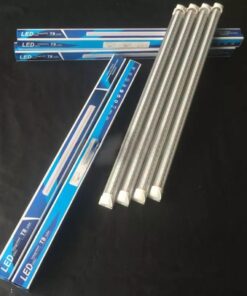 Neon LED