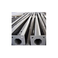 Stalp Iluminat Stradal