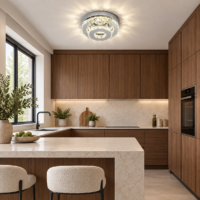 Aplica LED 40W Cristal Double Round Argintiu