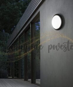 Aplica Exterior Black Storm