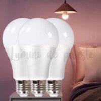 Bec Led