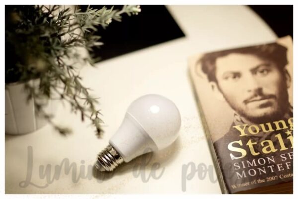 Bec Led