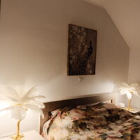 Veioza cu pene naturale White E14 photo review