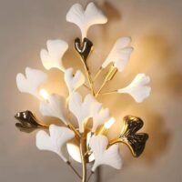 aplica-pure-gingko-image