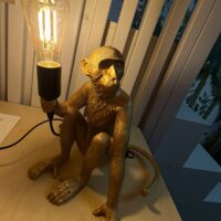 Veioza Monkey Gold (Maimuta Aurie) photo review