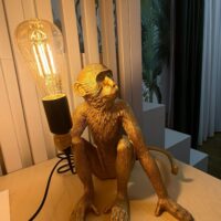 Veioza Monkey Gold (Maimuta Aurie) photo review