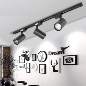 Spot LED 30W pe sina