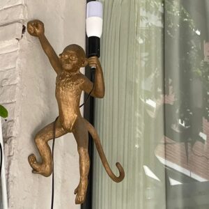 Aplica Monkey Gold