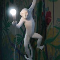 Aplica Monkey White