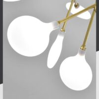 Aplica White Pearl