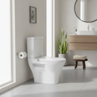 Set vas Wc cu rezervor si capac din polipropilena, LDPE5095