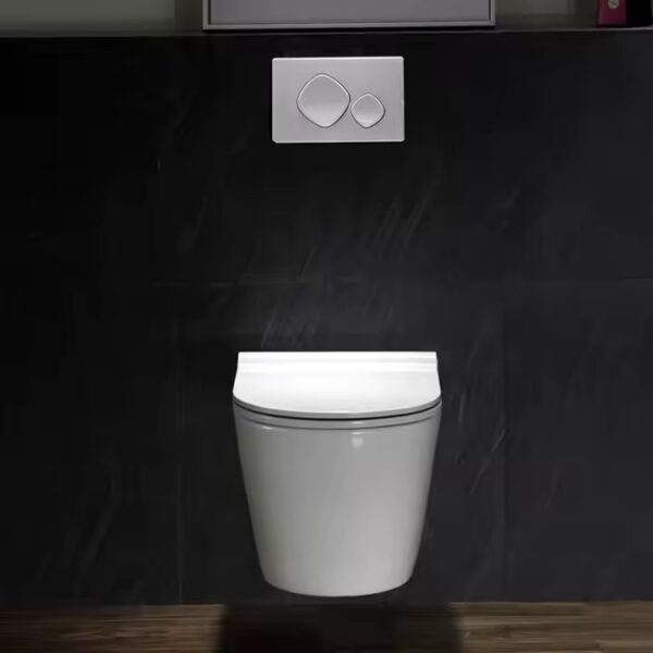 Vas de toaleta suspendat WC, cu capac SoftClose, LDPT-203-image2