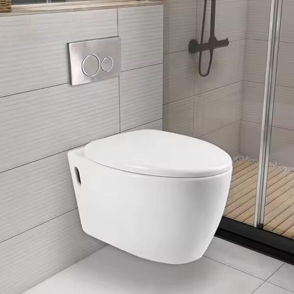 Vas de toaleta suspendat WC, cu capac SoftClose, LDPT-205- - image