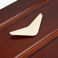 Maner Mobila Auriu Wing Brass