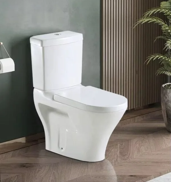 Poza pentru Set vas Wc cu rezervor si capac din polipropilena, LDPE5095