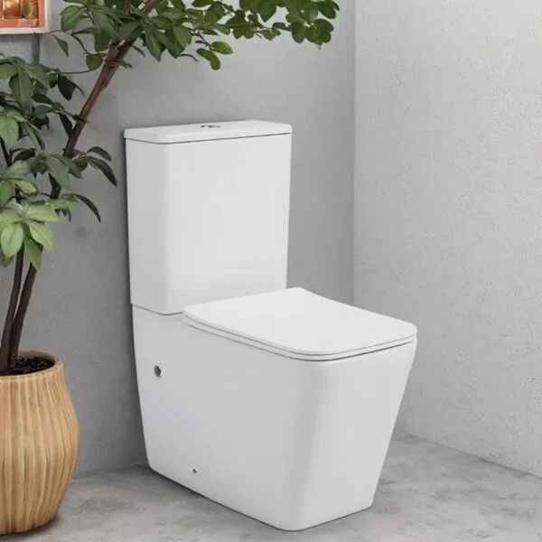 Poza pentru Set vas Wc cu rezervor si capac din polipropilena, LDPHS-7005