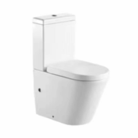 Set vas Wc cu rezervor si capac din polipropilena, LDPHS-7006