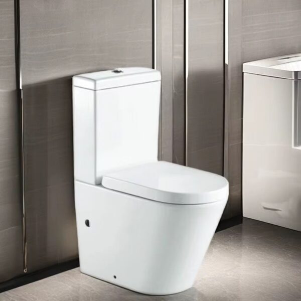 Poza pentru Set vas Wc cu rezervor si capac din polipropilena, LDPHS-7006