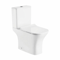 Set vas Wc cu rezervor si capac din polipropilena, LDPHS-7008