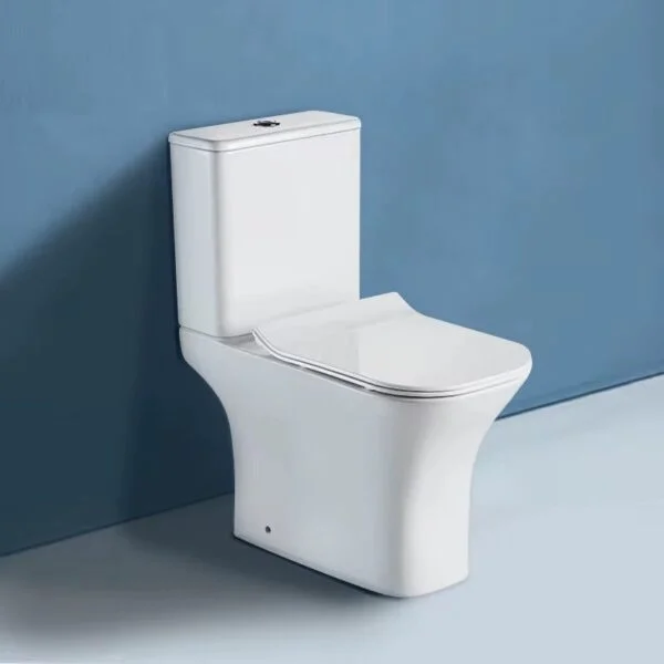 Poza pentru Set vas Wc cu rezervor si capac din polipropilena, LDPHS-7008