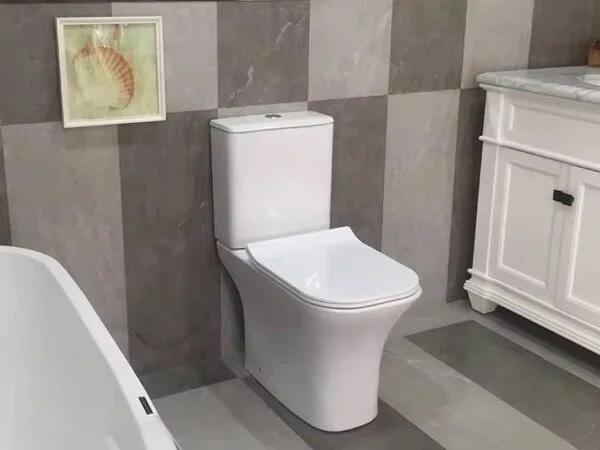 Poza pentru Set vas Wc cu rezervor si capac din polipropilena, LDPHS-7008