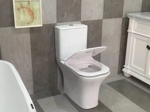Poza pentru Set vas Wc cu rezervor si capac din polipropilena, LDPHS-7008
