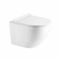 Vas de toaleta suspendat WC, cu capac SoftClose, LDPT-203