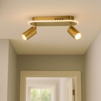 Aplica LED 44W Spotlight Auriu 2