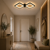 Lustra LED 44W Ceiling 2 Patrate Negru