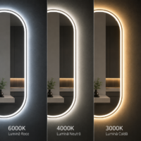 Oglinda LED Ovala, Rama Aurie, 50x100 cm, LDP5010 RF
