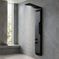 Panou Dus Modern Negru Mat, Hidromasaj, 5657RF