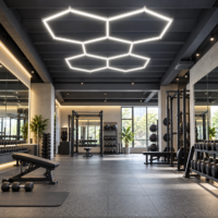 Honeycomb LED Aluminiu, 5 Hexagoane, 300x200 cm