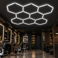 Honeycomb LED, Aluminiu, 8 Hexagoane, 300x300 cm