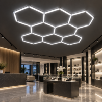 Honeycomb LED, Aluminiu, 8 Hexagoane, 300x300 cm