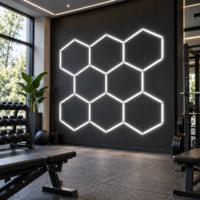 Honeycomb LED, Aluminiu, 8 Hexagoane, 300x300 cm
