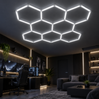 Honeycomb LED, Aluminiu, 8 Hexagoane, 300x300 cm