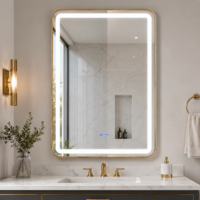 Oglinda LED, Rama Aurie, 50x100 cm, LDPBG-5010 RF